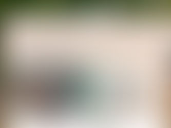 Um passeio pela Casa de Monet