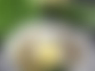 Zucchini Breakfast Hash