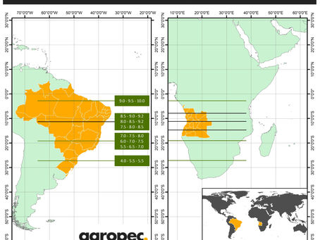 Por que o Brasil pode ser um importante parceiro para o desenvolvimento da agricultura em Angola?