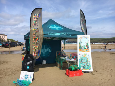 Polzeath Marine Discovery Day