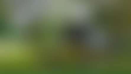 Henry County declares local emergency amid coronavirus