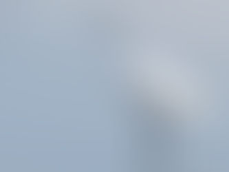 Aigrette Garzette (Egretta Garzetta)