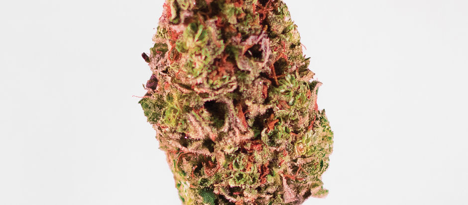 5 DATOS CURIOSOS SOBRE EL CANNABIS