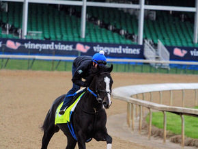 Kentucky Derby Longshot Long Range Toddy