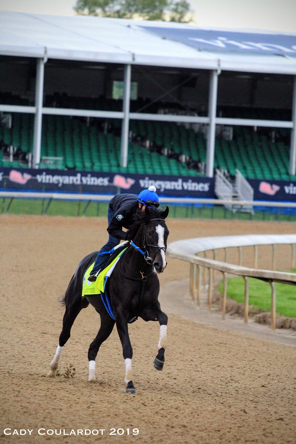Kentucky Derby Longshot Long Range Toddy