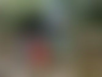 MS Science & Engineering - back at it!