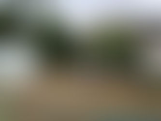 公園等保全部会、活動開始 6月26日