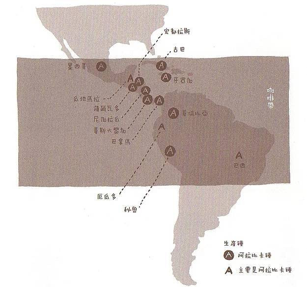 【咖啡小知識】第3回: 咖啡主要栽種在哪些國家、地區?