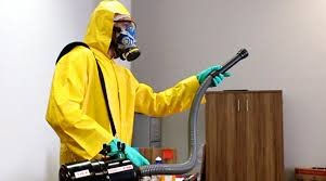 ree