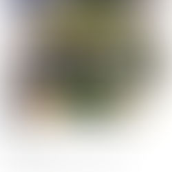 이공계 자기소개서 약빨취가 '제대로' 알려준다