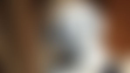 The Innovation journey