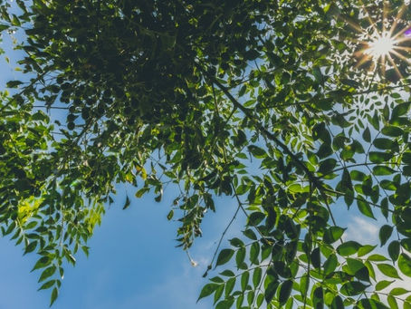 A Light-Hearted Approach To Panic Attacks