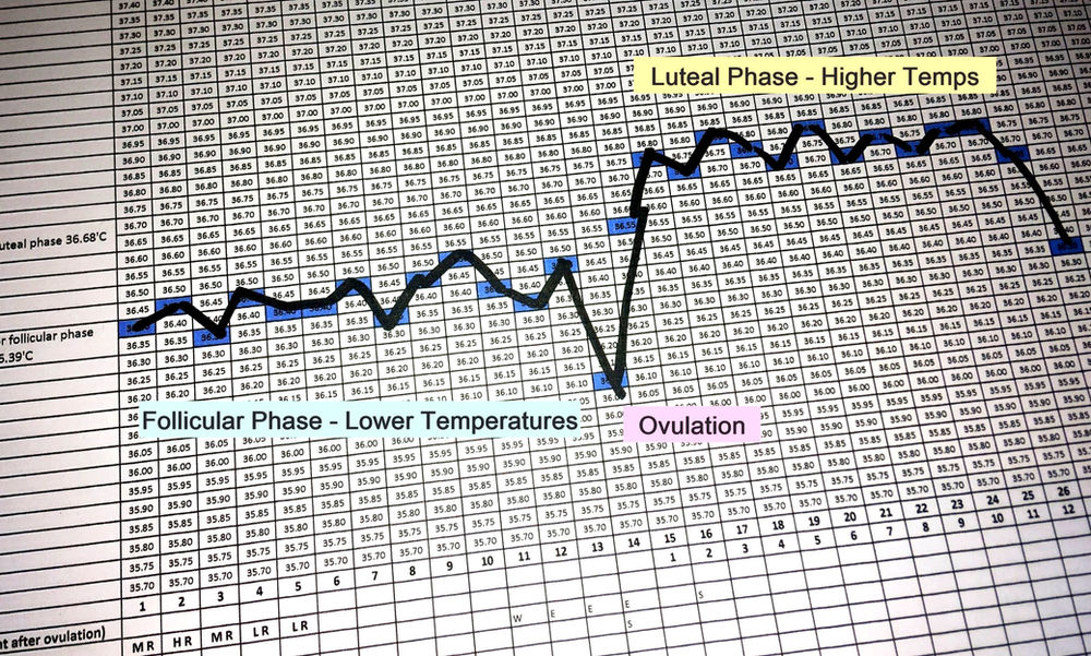 Bbt Charts Forums