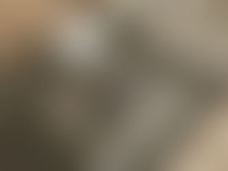 잠깐만, 흡입매트 구입을 고려하시나요?