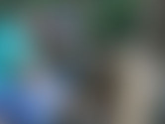 Instalan hoteles para abejas en la Universidad del Magdalena