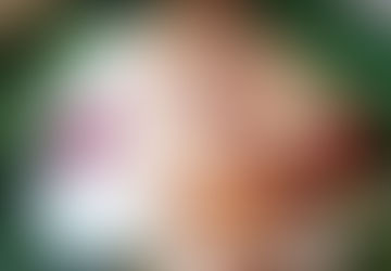 Těstoviny s kuřecím masem