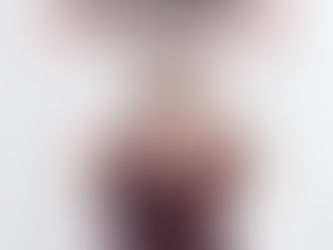 伯斯8/22班機抵台 PAPAK國際物流運輸