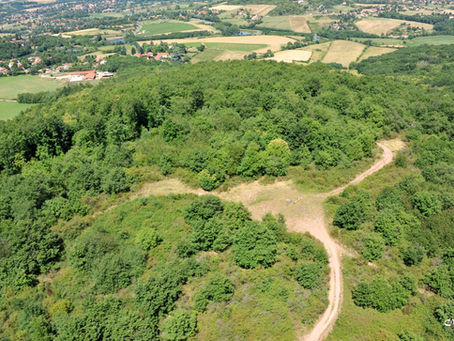 Les costauds à l'hippo