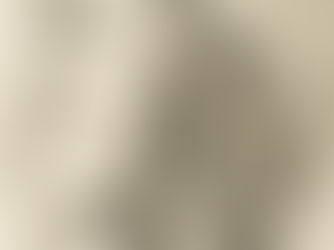 בעל חיים בצורת אדם ותבניתו