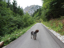 Wanderung auf den Tegelberg