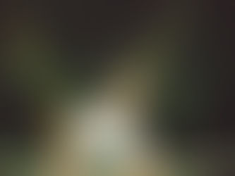 All 'Swim' And No Sink With Hope D's Latest Single