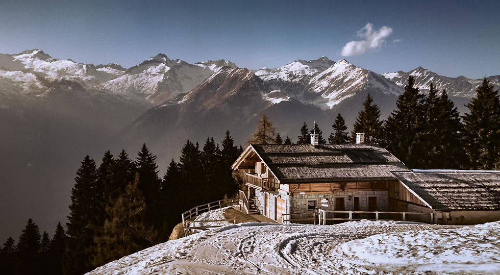 Photo by Michal Průcha on Unsplash