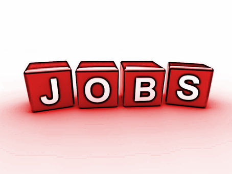 Stellenangebot als Entwickler .net