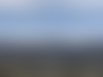 COXEY OHV Road 3N14 San Bernardino National Forest