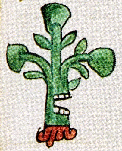 Füllen hodensack