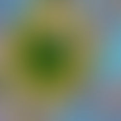 There are two viruses spreading in the U.S., and one is racism