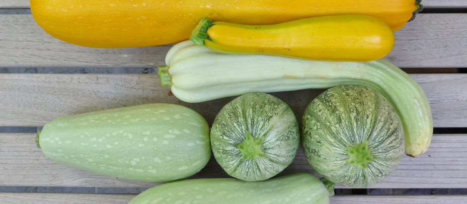 COURGETTE IN ZOETZUUR