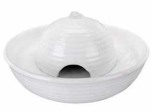 Fontaine à Eau Pour Chat Laquelle Choisir