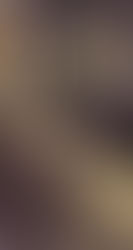 Código Moral Templário