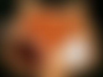 Baby led weaning - 5 things to know before you start