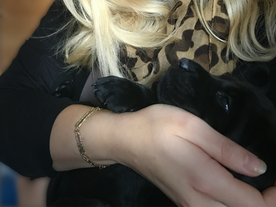 Bindung, Beziehung und Erziehung vs. Ausbildung