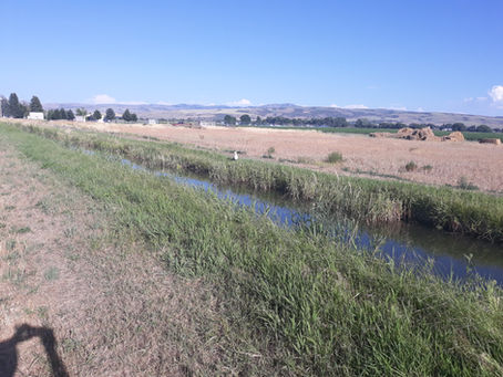 The Kearney Canal
