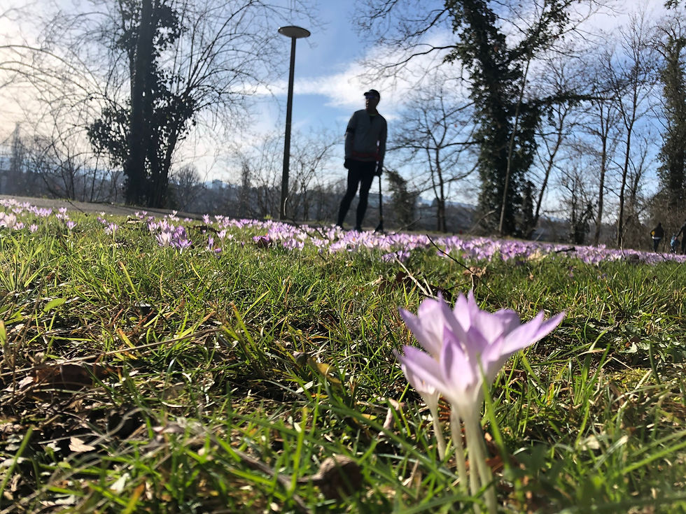 Scooters as a workout