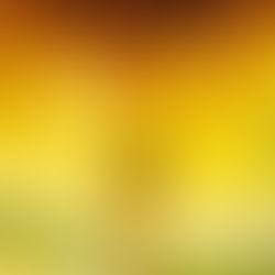 ¿Cuánto de propio tiene el amor propio?