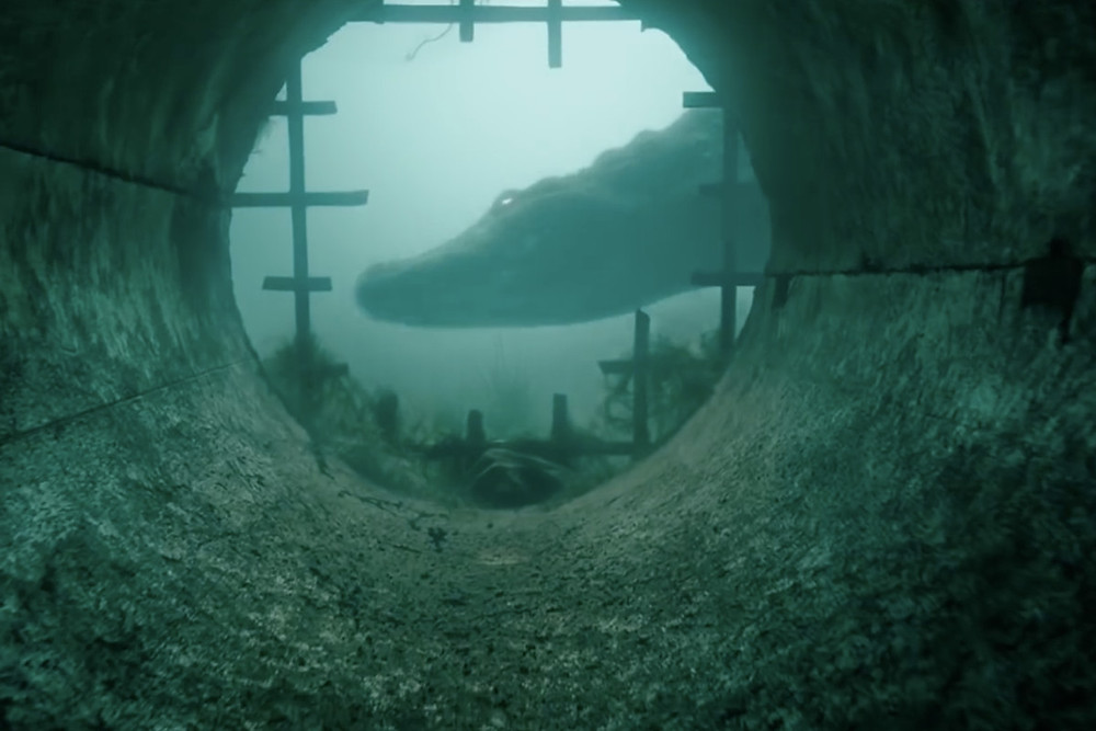Crawl film review UK