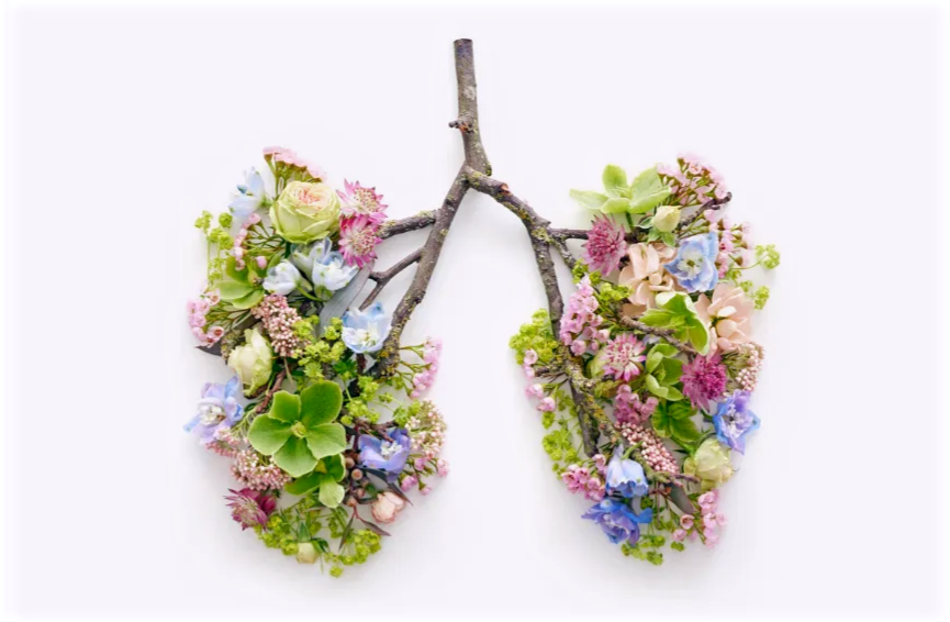 Floral lungs
