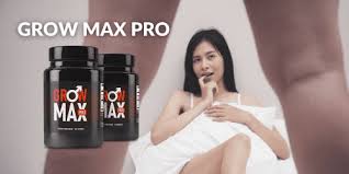 Grow Max Pro works is by bolstering the blood-brain barrie content media