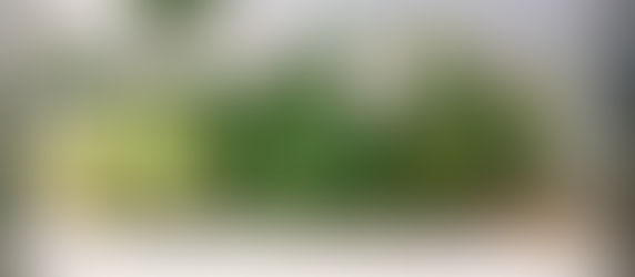 春の寄せ植え
レッスン!