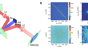 Paradoja de Einstein-Rosen-Podolsky y la localidad