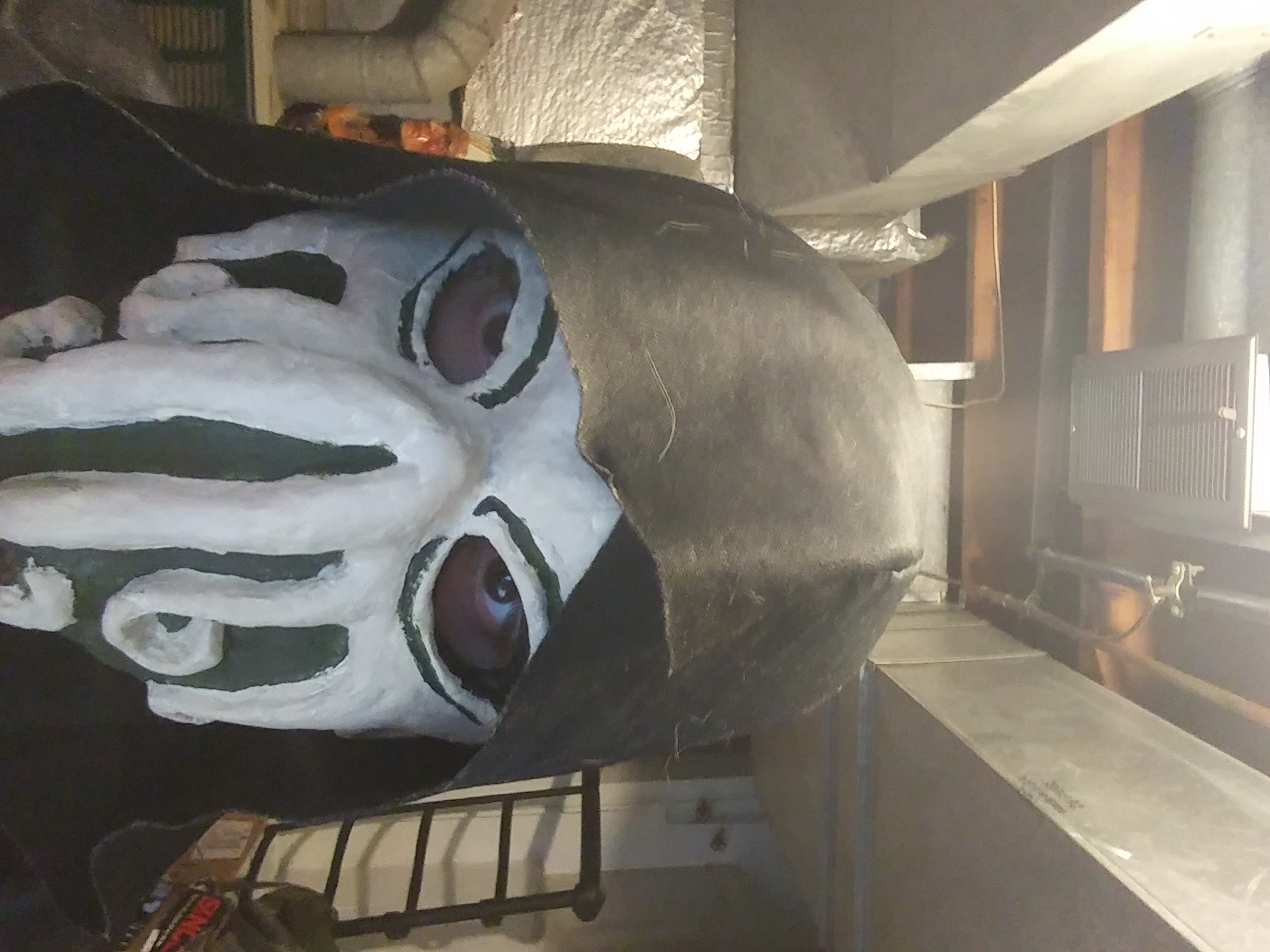 Finished mask and hood
content media
