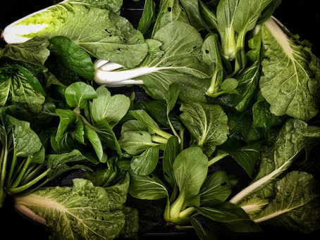 Side of Bok Choy
