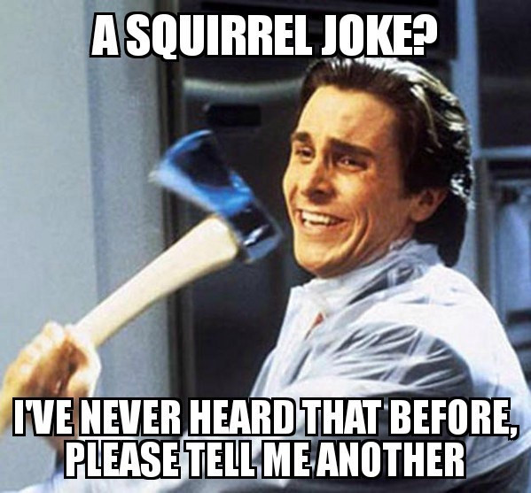 adhd squirrel