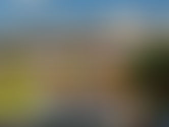 Details Released for the 25th Epcot International Flower & Garden Festival Feb. 28 – May 28