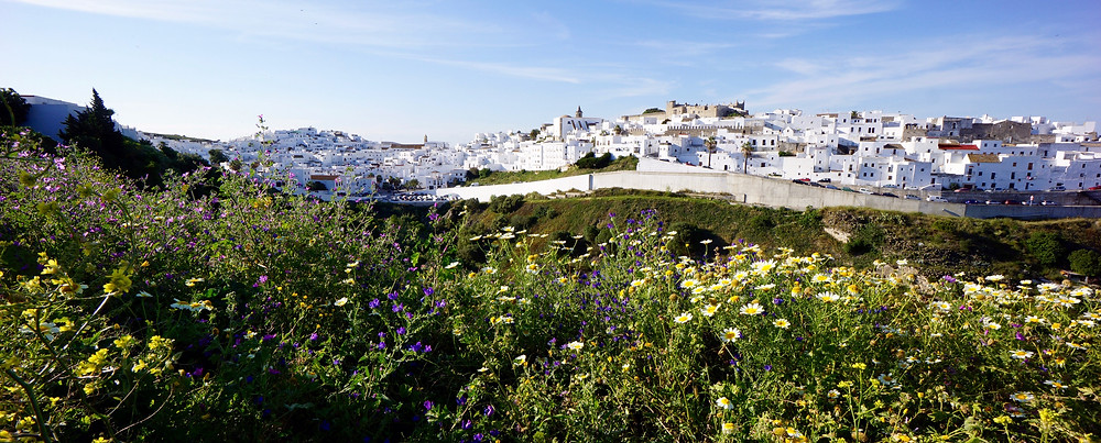 Vejer old town with Spring flowers