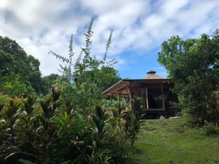 半年ぶりの更新は、ハワイ島旅行記から