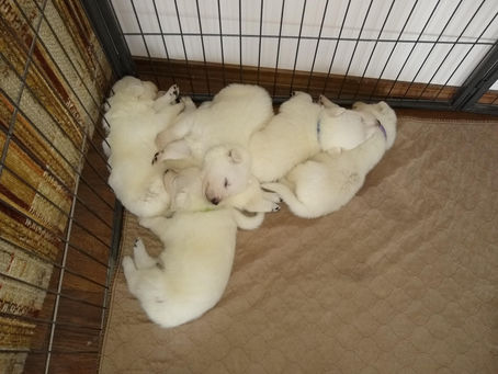 Week Three
